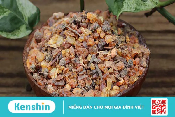 9 loại “kháng sinh tự nhiên” nên có mặt trong chế độ dinh dưỡng