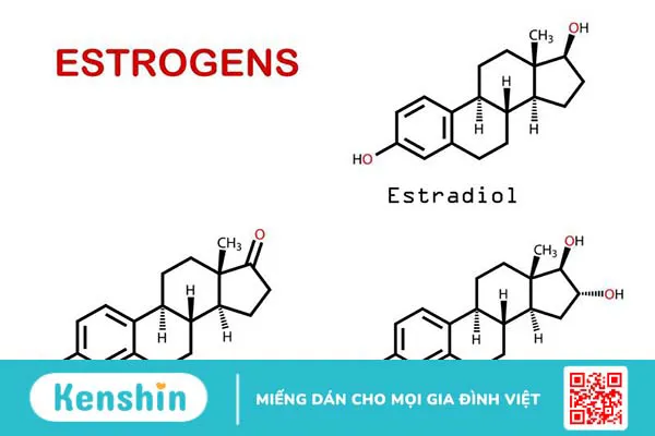 Nội tiết tố nữ, hay còn gọi là estrogen, đóng một vai trò quan trọng trong sự phát triển và duy trì vẻ đẹp của phụ nữ