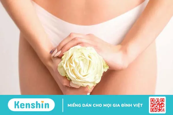 Âm hộ: Cấu tạo, chức năng và dấu hiệu bệnh lý thường gặp