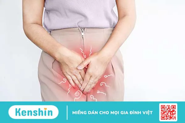 Âm hộ: Cấu tạo, chức năng và dấu hiệu bệnh lý thường gặp 3