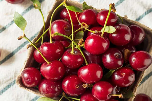 Ăn cherry có nổi mụn không? Cần lưu ý gì khi ăn cherry?