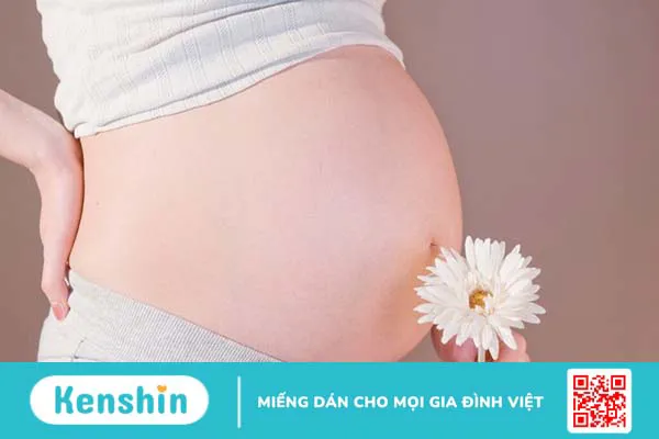 Ăn rau ngót nóng hay mát? Những đối tượng nào không nên ăn rau ngót?