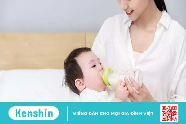 Ăn rau nhút có bị mất sữa không? Tác dụng đặc biệt của rau nhút