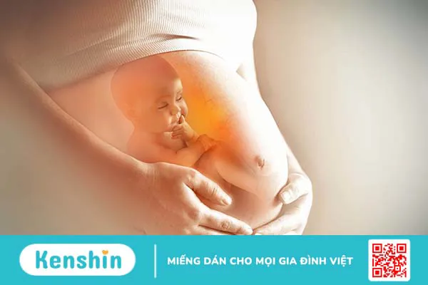 Axit folic có trong thực phẩm nào? Cần lưu ý gì khi sử dụng axit folic?