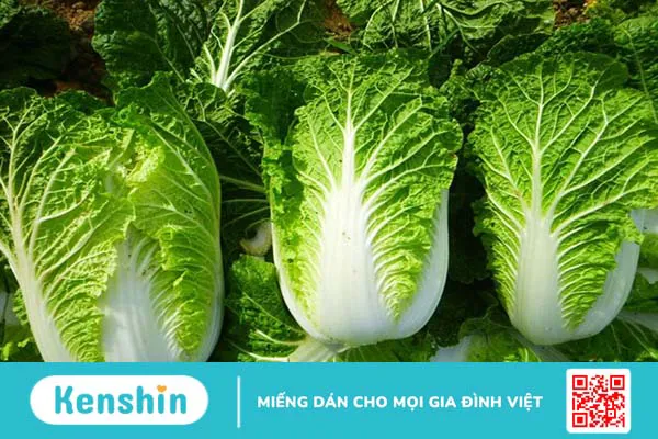 Bà bầu ăn cải thảo được không? Những điều bà bầu cần đặc biệt lưu ý khi ăn cải thảo