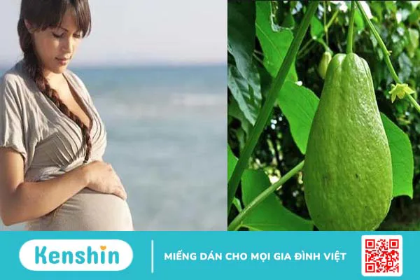 Bà bầu ăn su su được không? Những lợi ích không ngờ từ quả su su