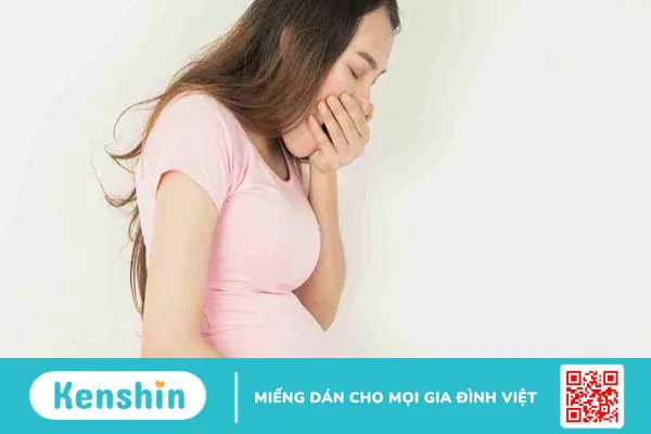 Bà bầu ăn su su được không? Những lợi ích không ngờ từ quả su su