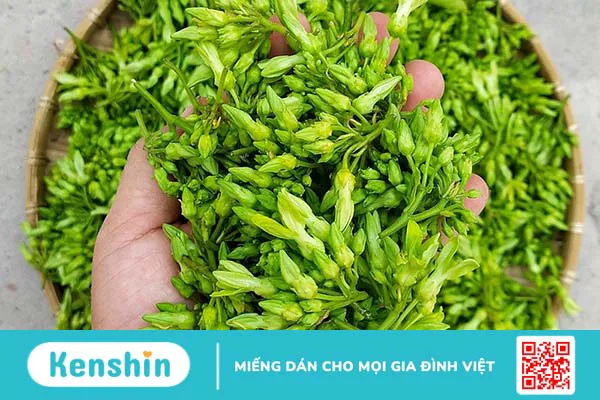 Bà bầu có ăn được hoa thiên lý không? Những lợi ích khi ăn hoa thiên lý