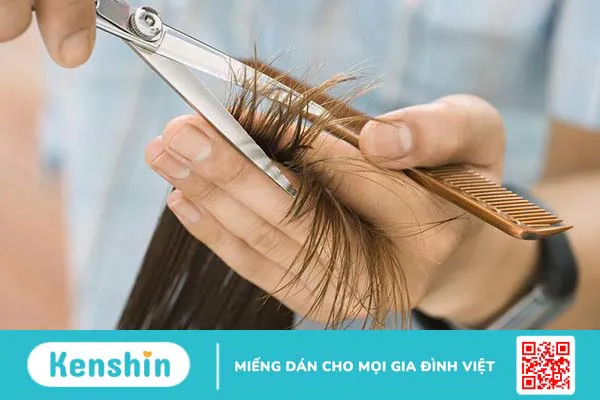 Bà bầu có được cắt tóc không? Những điều mẹ bầu cần lưu ý khi cắt tóc trong thai kỳ 2