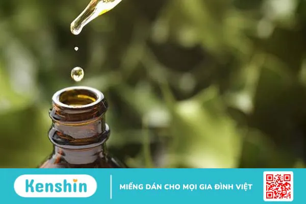 Bà bầu dùng dầu tràm được không? Những lợi ích khi sử dụng