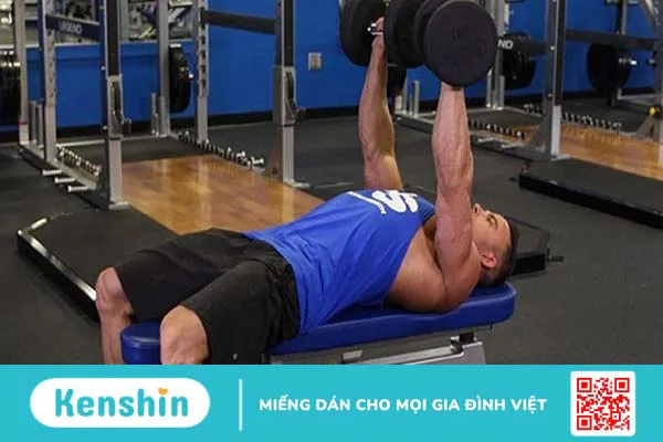 Bài tập Dumbbell Bench Press – Bài tập cơ ngực được yêu thích!