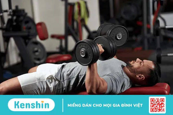 Bài tập Dumbbell Bench Press – Bài tập cơ ngực được yêu thích!