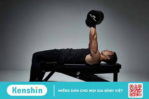 Bài tập Dumbbell Bench Press – Bài tập cơ ngực được yêu thích!