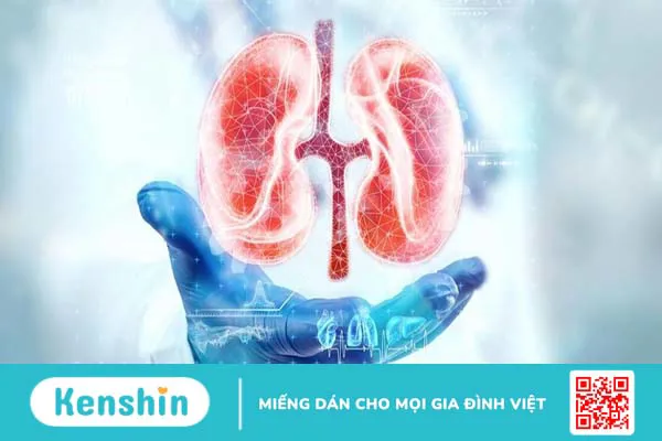 Bạn đã biết đi khám thận ở đâu uy tín chưa?