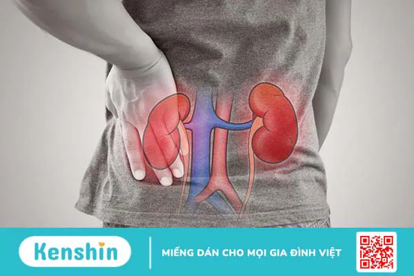 Bạn đã biết đi khám thận ở đâu uy tín chưa? 2