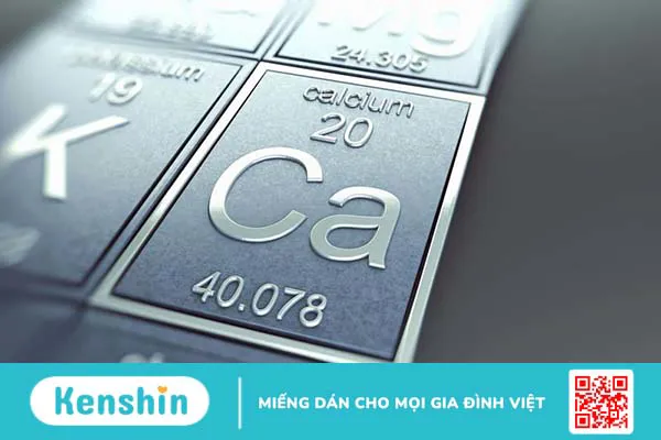 Bạn đã biết về danh sách những loại thực phẩm giàu canxi nhất hay chưa?