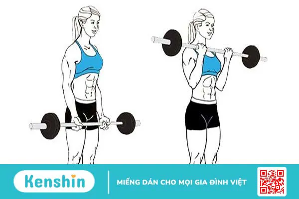 Barbell Curl là gì? Cách tập để bắp tay trước phát triển tốt nhất