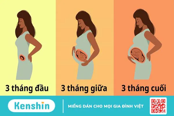 Bật mí bảng tăng cân nặng chuẩn của mẹ bầu theo từng giai đoạn