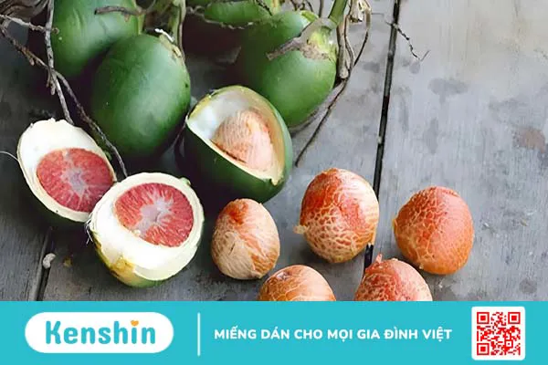 Bật mí cách chữa hôi miệng bằng quả cau đơn giản