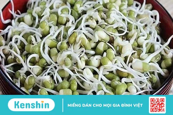 Bầu 3 tháng đầu ăn giá đỗ chín được không?