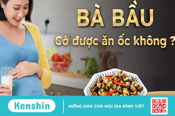 Bầu 3 tháng đầu ăn ốc được không? Một số lưu ý khi bà bầu ăn ốc