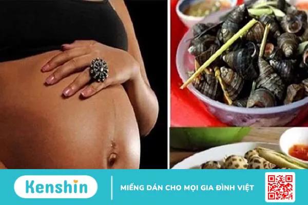 Bầu 3 tháng đầu ăn ốc được không? Một số lưu ý khi bà bầu ăn ốc