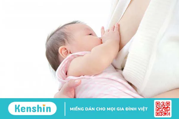 Bầu ăn rau tần ô được không? Một số món ngon từ rau tần ô