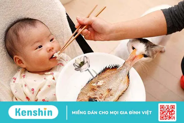 Bé mấy tháng ăn được thịt cá tôm? Những điều mẹ cần lưu ý khi cho trẻ ăn được thịt cá tôm 1