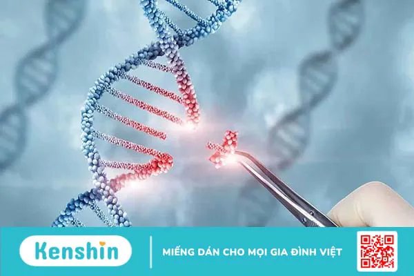 Bệnh Hemophilia (máu khó đông) có nguy hiểm không?