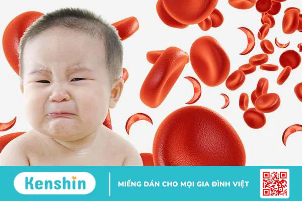 Bệnh thiếu máu huyết tán có nguy hiểm không?