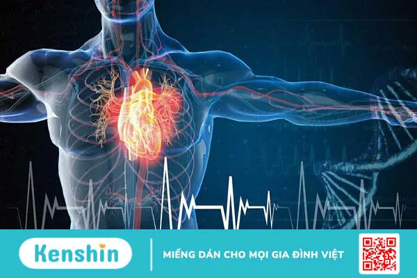 Suy tim phải, suy tim trái thường xuất hiện ở giai đoạn muộn của bệnh