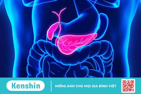 Bệnh u tụy nội tiết (Insulinoma) là gì? Phương pháp điều trị như thế nào?