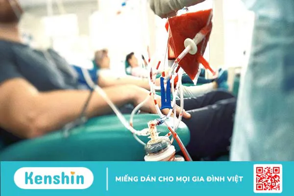 Bệnh Vaquez – Đa hồng cầu nguyên phát: Nguyên nhân, triệu chứng và cách điều trị