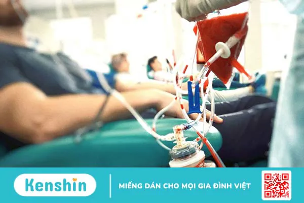 Bệnh Vaquez – Đa hồng cầu nguyên phát: Nguyên nhân, triệu chứng và cách điều trị