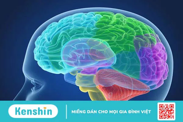 Biến chứng nội tiết có thể gặp sau tổn thương não