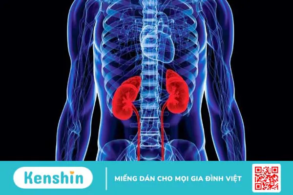 Biểu hiện lâm sàng bệnh Amyloidosis