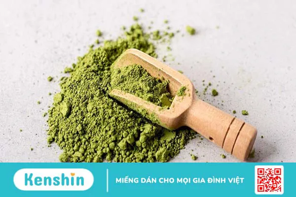 Bột protein gai dầu có tốt không? Một số lưu ý khi sử dụng