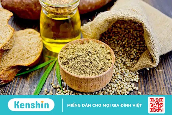 Bột protein gai dầu có tốt không? 1