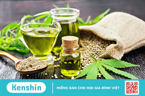 Bột protein gai dầu có tốt không? 3