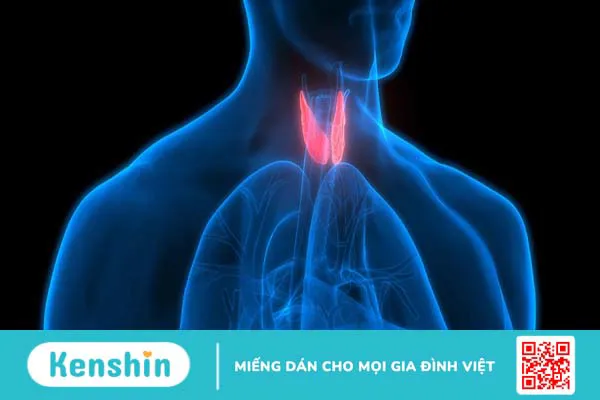 Bướu giáp keo lành tính có nên mổ không 01