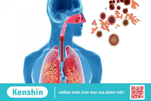 Các bệnh về hô hấp thường gặp và cách phòng ngừa