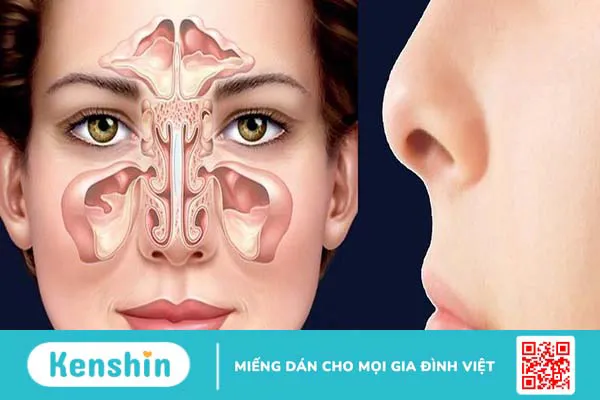 Các bệnh về hô hấp thường gặp và cách phòng ngừa