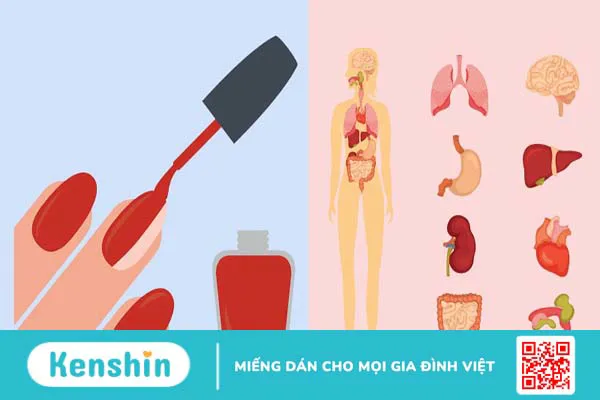 Các chất trong sơn móng tay có hại không? Nên lưu ý gì khi sơn móng tay?