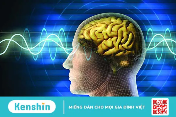 Các dây thần kinh trong cơ thể con người