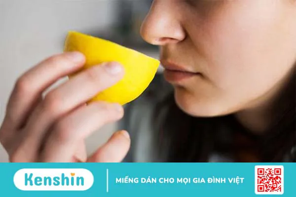 Các dây thần kinh trong cơ thể con người