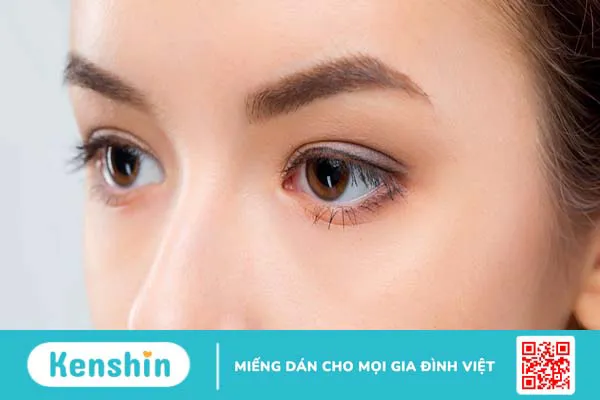 Các kiểu mắt phổ biến hiện nay và tầm quan trọng của kiểu mắt