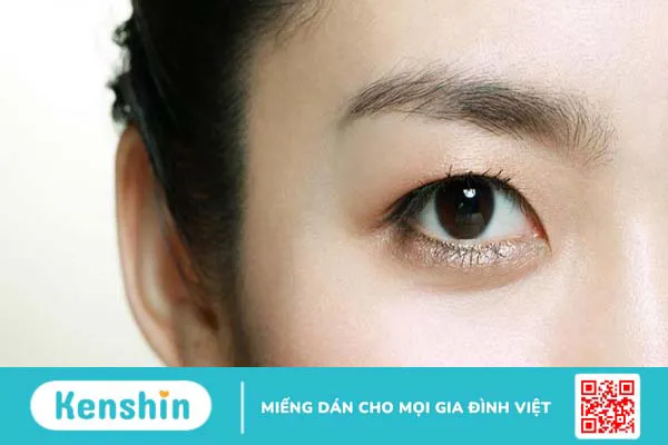 Các kiểu mắt phổ biến hiện nay và tầm quan trọng của kiểu mắt 1