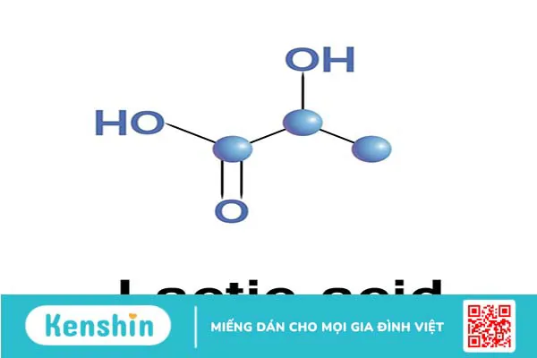 Các thành phần kết hợp với Lactic Acid có tác động hiệu quả trên da