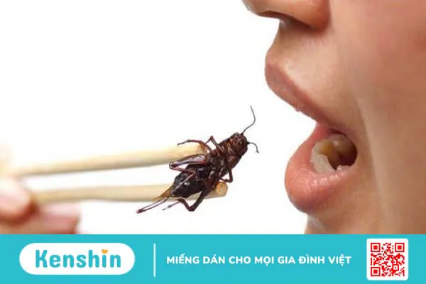 Cách chữa dị ứng khi ăn côn trùng tại nhà