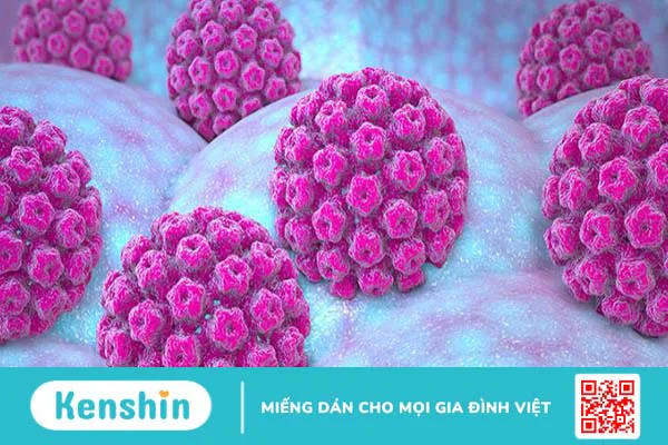 Cách đào thải virus HPV ra khỏi cơ thể triệt để